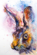 Hare Bunny Portrait Watercolor Painting Illustration Adorable Rabbit Cute Fauna Pet Abstract Colorful White Background Winter Aquarelle Big Ears Nursery Yellow Blue Pink Violet Animal Hand Draw