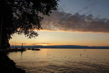 Canvas Print - Abend am Genfer See bei Evian-les-Bains