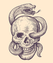 Snake Wraps Around Human Skull. Hand Drawn Sketch In Vintage Engraving Style. Tattoo Vector Illustration
