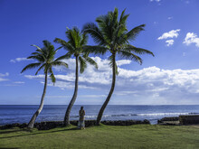 Woman Standing Under Palm Trees Along The Shoreline; Oahu, Hawaii, United States Of America