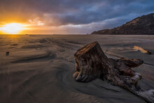 Sunset Lights Up The Sky Along The Coast Of Oregon, With Huge Pieces Of Driftwood Lay Scattered Across The Beach; Oregon, United States Of America