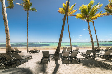 Canvas Print - Bavaro Tropical beach in Punta Cana, Caribbean sea, Dominican Republic