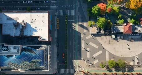 Poster - Aerial top down view of Manhattan street by the park with cars and tall buildings in New York City. Autumn with colorful trees