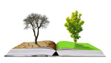 Fototapeta Mapy - Open book with live and dead tree isolated on transparent background, PNG. Global warming or climate change concepts.