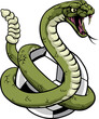 A rattlesnake snake soccer football ball animal sports team mascot