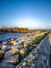 ballintoy harbour near giants causeway, county. antrim, northern ireland - uk