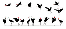 Collection Of Silhouettes Of Crane Birds. Crane Birds Isolated Vector Illustration. Egret, Heron Design Element.  Wildlife Style.