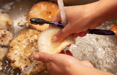 Wall Mural - Washing mushrooms with a toothbrush