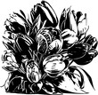 Tulip bouquet, hand drawn illustration. 
