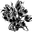 Hand drawn illustration of tulip bouquet