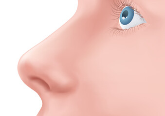 Profile view Human Nose and blue eye with eyelashes on the face realistic Illustration for medicine, Isolated on white background Design Vector. Rhinoplasty example. Body part for biology.