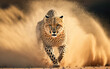 Cheetah running, South Africa
