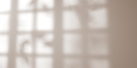 Poster - shadow background of tree leaves and window - 3d render