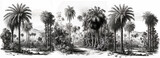 Vintage wallpaper - an oasis of palm trees, mountains with birds with a black and white background