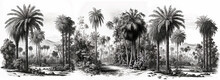 Vintage Wallpaper - An Oasis Of Palm Trees, Mountains With Birds With A Black And White Background