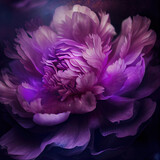 peonia