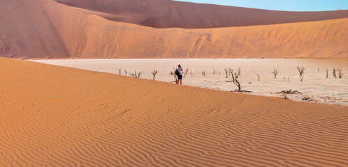 Wall Mural - Dead trees in Dead Vlei with full moon - Sossusvlei, Namib desert, Namibia 