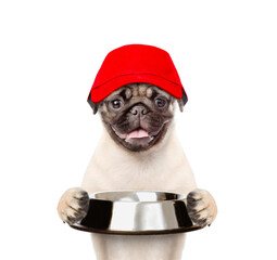 Leinwandbilder - Hungry Pug puppy wearing red cap holds empty bowl. isolated on white background
