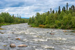 Winding bed of a mountain river in the taiga, flowing through a summer forest after rain