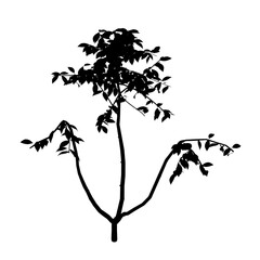 Poster - Tree silhouette isolated on white background. 3D. Vector illustration.