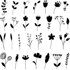 Wall Mural - Floral flower element's set isolated vector Silhouette