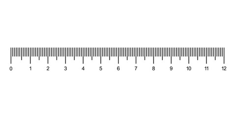 Ruler is isolated on white. 12-inch Measuring tool png.