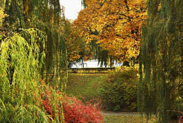 Wall Mural - Park Dolina Marzen (Valley of Dreams) in Torun.  Poland