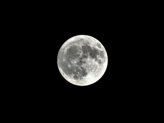 Wall Mural - Full Moon
