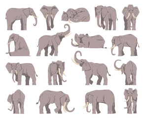 Wall Mural - grey elephant as large african animal with trunk in different pose big vector set