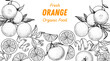 Orange fruit hand drawn design. Vector illustration. Design, package, brochure illustration. Orange fruit frame illustration. Design elements for packaging design and other.