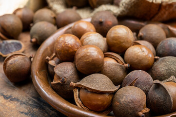 Wall Mural - New harvest of ripe fresh Australian macadamia nuts in shell with leaves