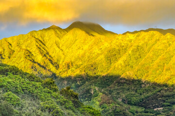 Wall Mural - Colorful Sunset Manoa Valley Tantalus Lookout Honolulu Hawaii