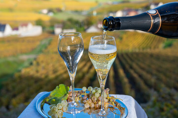 Tasting of french sparkling white wine with bubbles champagne on outdoor terrace with view on colorful grand cru Champagne vineyards in Cramant in October, near Epernay, France