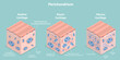 3D Isometric Flat Vector Conceptual Illustration of Perichondrium, Types of Cartilage