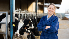 Female Farmer Engaged In Breeding Of Cows Posing In Cowshed