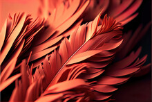 Warm Orange Feathers Background As Beautiful Abstract Wallpaper Header