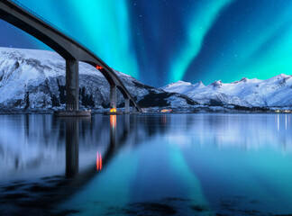 Wall Mural - bridge and aurora borealis over snowy mountains. lofoten islands, norway. amazing northern lights an