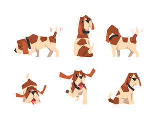 Poster - Jack Russell Terrier Dog with Cute Snout and Coat with Brown Spot in Different Pose Vector Set