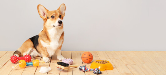 Wall Mural - Cute dog with different pet accessories on floor against light background. Banner for design