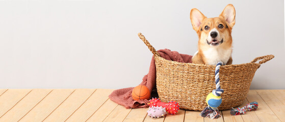 Wall Mural - Cute dog in basket and with different pet accessories at home. Banner for design