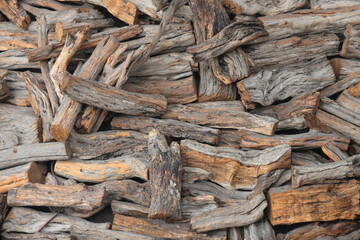 uneven woodpile of round logs of different sizes, sawn and visible with texture cuts, firewood piled under a tree at the edge of the backyard in a rural or country landscape, peasant life ю