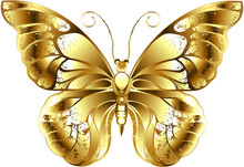 Jewelry Gold Butterfly