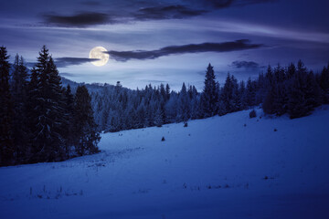 Wall Mural - snow covered glade in coniferous forest at sunset. beautiful nature scenery in full moon light. moun