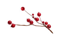 Branches Of Red Berries. Christmas Tree Branch, Isolated On Transparent Background Png. Christmas Decoration Red Berries Holly	
