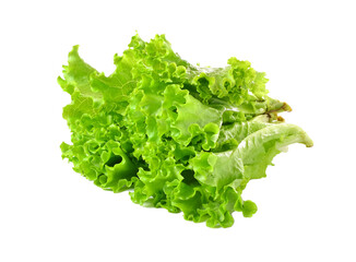 Poster - lettuce salad on transparent png