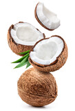 Fototapeta  - Coconut isolated. Coconut whole, half and piece with leaves on white background. Broken white coco flying. Full depth of field.