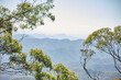 © Austockphoto - Horizontal shot of trees with mountain background
