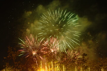 fireworks explosive on dark sky in night