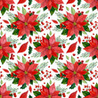 Christmas seamless pattern. Winter red flowers. Watercolor illustration. Holly, berries, leaves, pine branches and red poinsettia on a white background. For fabric, packaging, scrapbooking, etc.