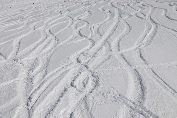 Canvas Print - Fresh snow skiing tracks